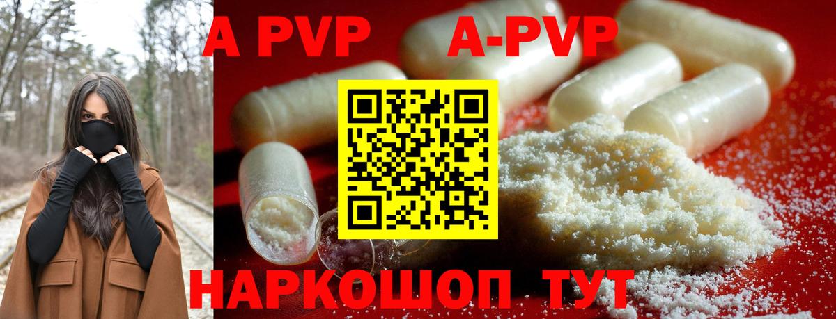 A PVP СК КРИС Саров