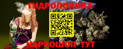 стафф Пенза