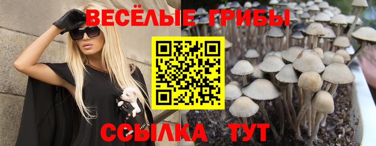 Саров  Галлюциногенные грибы Cubensis  Галлюциногенные грибы MAGIC MUSHROOMS  Вход с VPN 